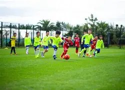 霍勒迪首节,三分球四投,三中,世界杯赛程,2026世界杯,比赛时间,直播信息,赛事安排